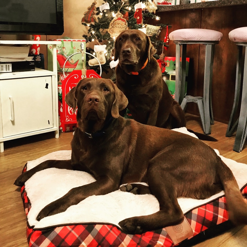 Meet your Posher, Courtney